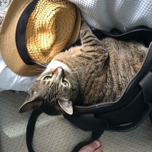 Meet your Posher, Nicole